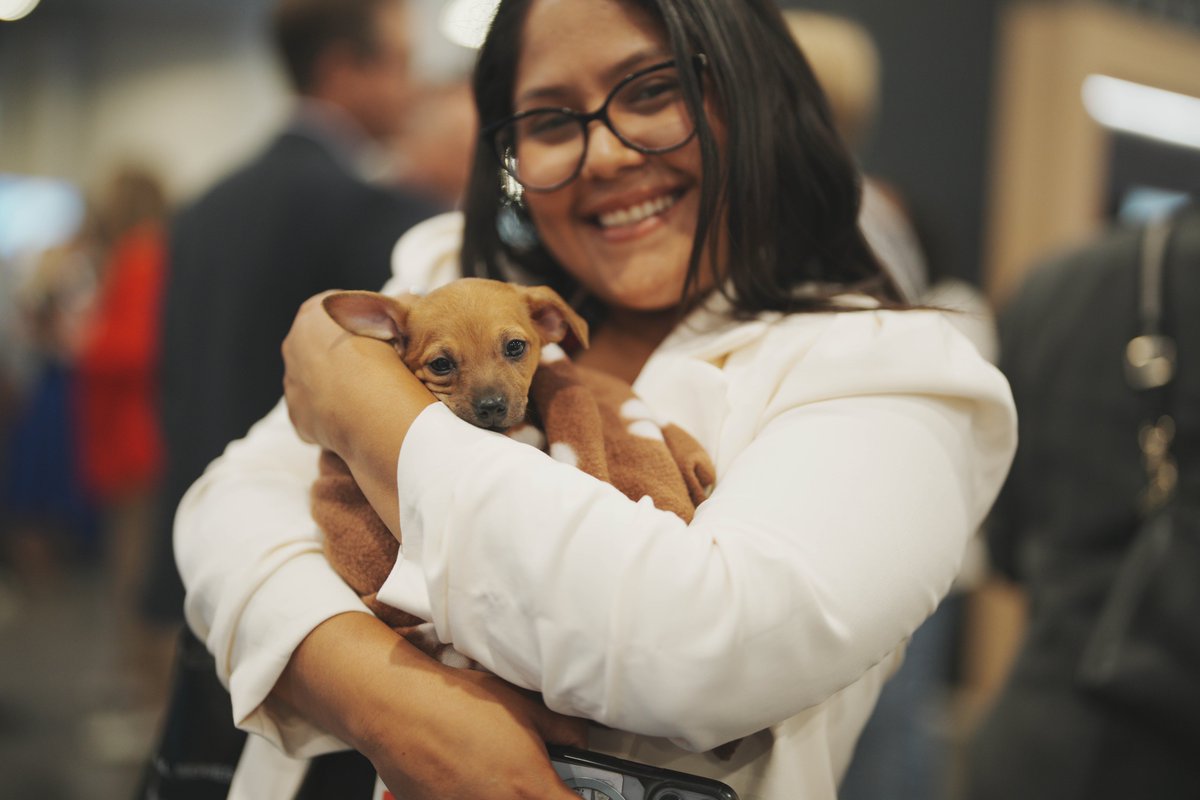 thehospshow's tweet photo. #TheHospitalityShow expo highlights! From puppies to robots and more, check out a peek at the action below. More pics to come!
#theshow #hotelmanagement #ahla #hotelindustry #hospitalityindustry #hoteltech #hoteloperations #hotelsolutions #hotelowner #hoteloperator https://t.co/RFOR4TWlKV