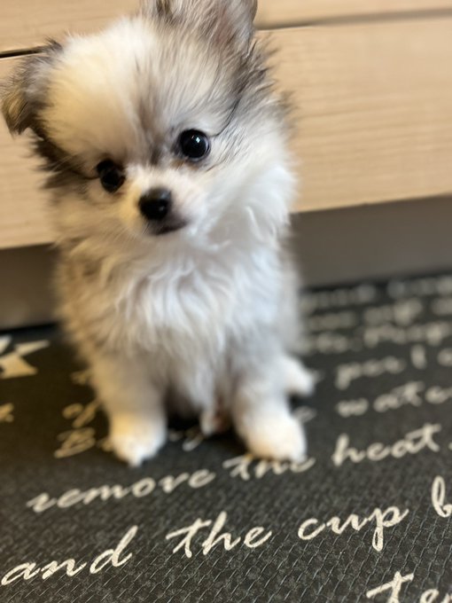 Twitterのコスプレ画像7