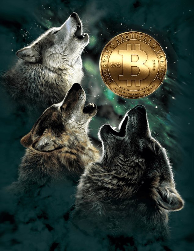 Brekkie⚒️ tweet media