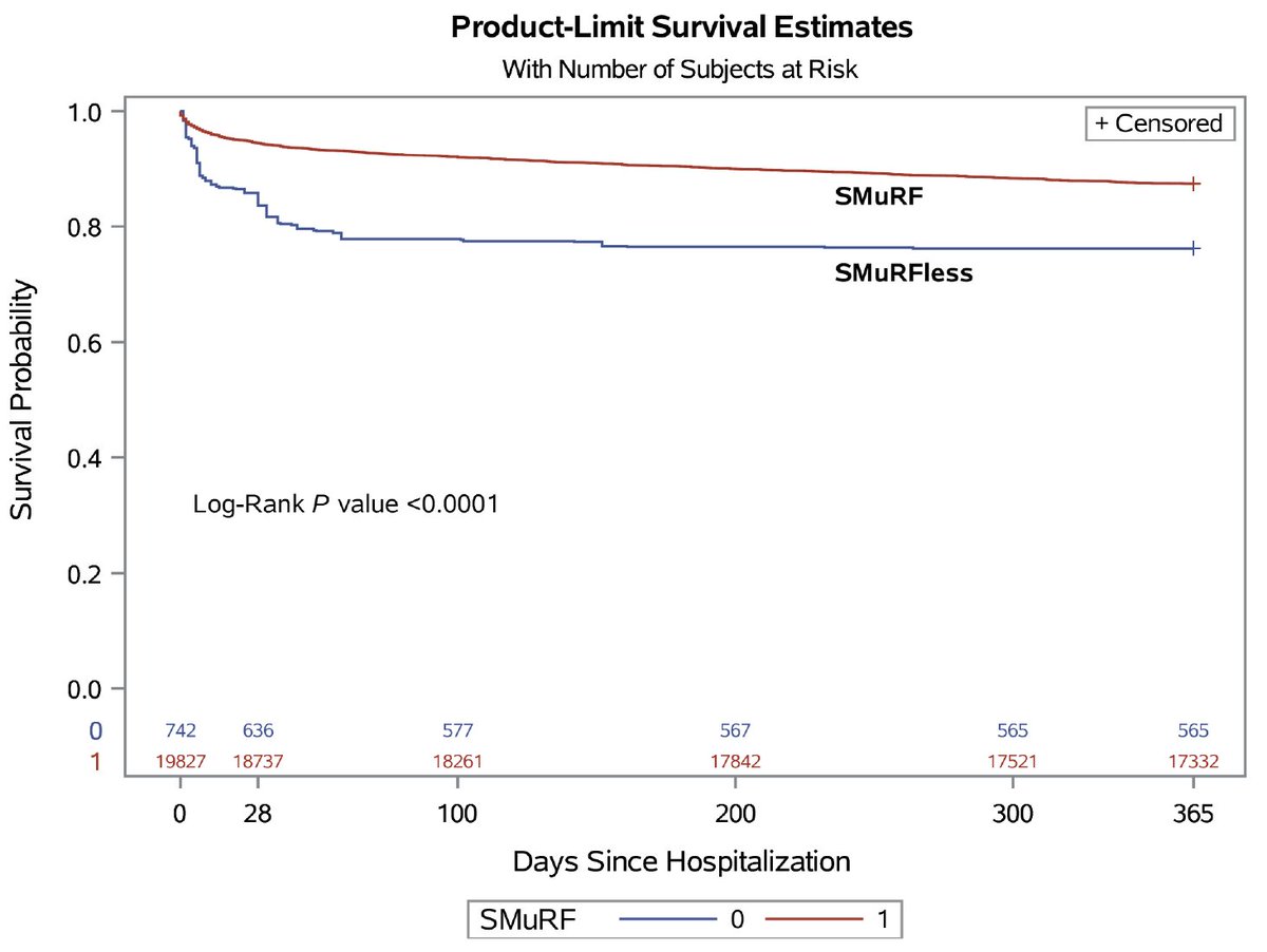Zainali Chunawala tweet media