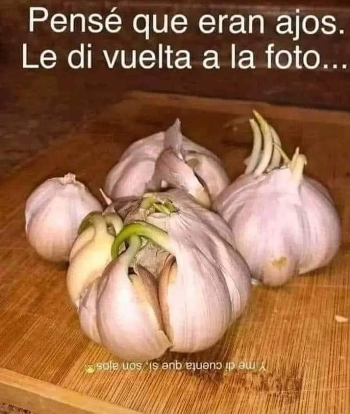 H_Atzuri's tweet photo. Verdad que te engañe 👀😂 
#JesusEnUNIFE109 https://t.co/XZQzswEdDY