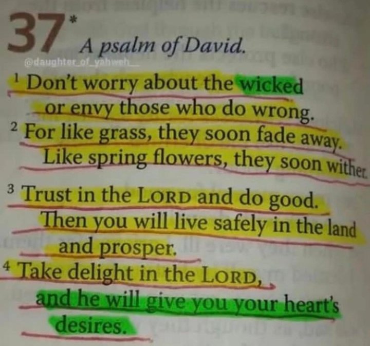 📖 Psalm 37:1-4