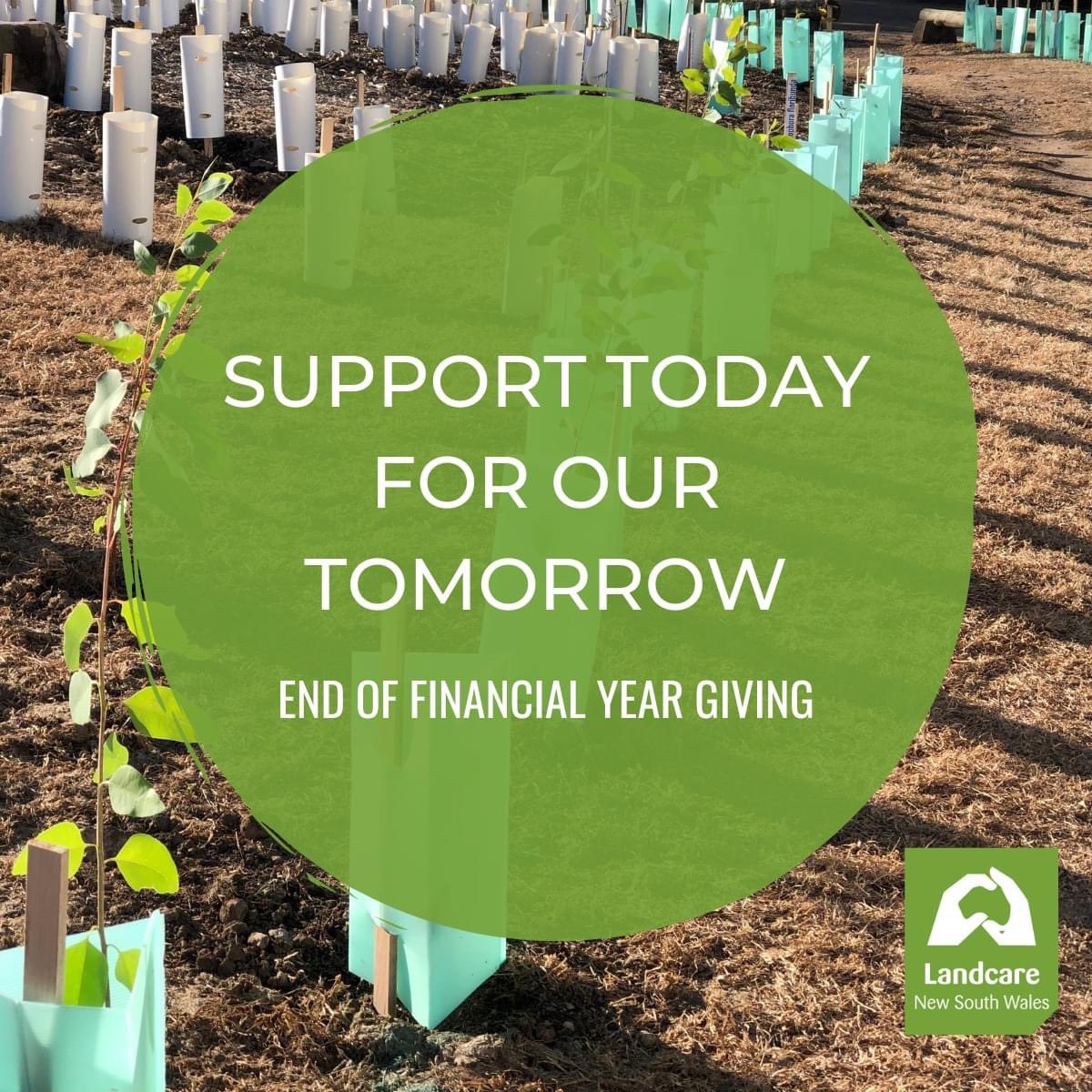 This tax time you can help protect our land and environment. By donating to Landcare NSW you’ll know that your donation is directly supporting communities and environments in need. Donate this EOFY and transform our landscapes today - support -> landcarensw.org.au/donate-now/ #EOFYgift