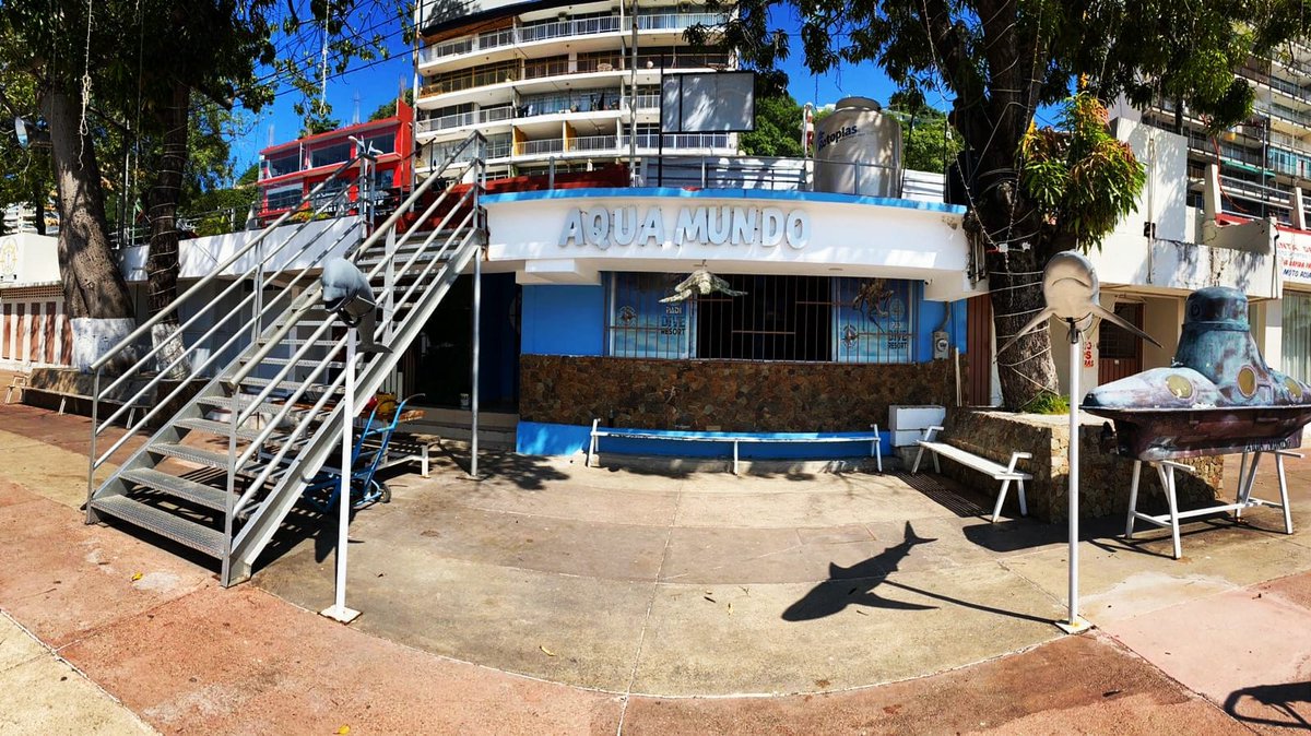 solimperialaca's tweet photo. #Tours y #diversióngarantizada 
🦀🦞🐟🐠🐡

#turism #turismoextranjero #travels #turismodeaventura #acapulcolotienetodo #divingtours #agenciadeviajes #viajesprivados #atraccionesturísticas #deviajeenacapulco https://t.co/ck76KeABBh