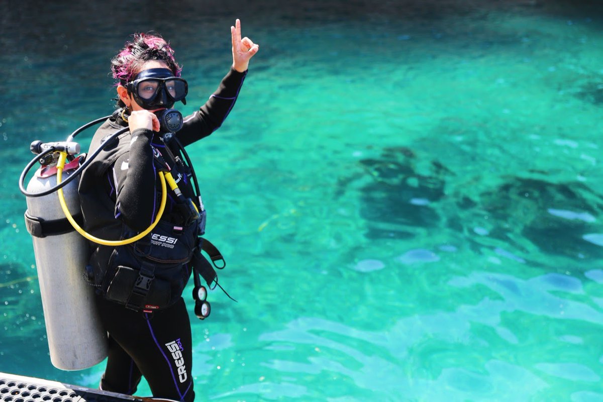 solimperialaca's tweet photo. #Tours y #diversióngarantizada 
🦀🦞🐟🐠🐡

#turism #turismoextranjero #travels #turismodeaventura #acapulcolotienetodo #divingtours #agenciadeviajes #viajesprivados #atraccionesturísticas #deviajeenacapulco https://t.co/ck76KeABBh