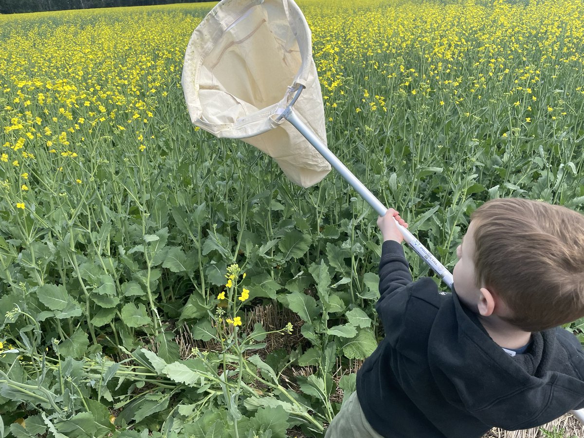 Good help is hard to find these days