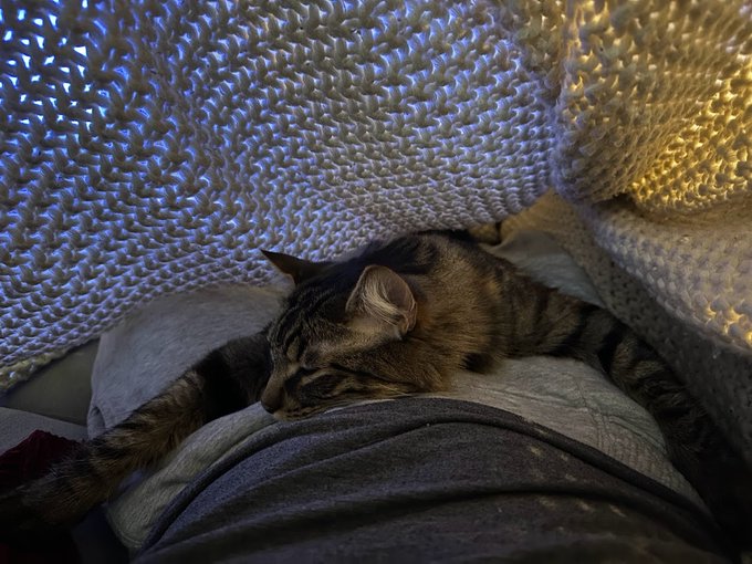 Cat hugs https://t.co/mp21QCxHgz<a href="/tag/mvsales"class="tags"><span>#mvsales</span></a><a href="/tag/mvtrans"class="tags"><span>#mvtrans</span></a>