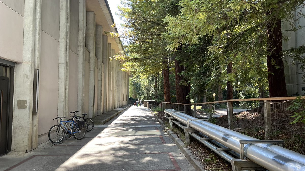 UC Santa Cruz in a literal redwood forest is an S tier campus, incredible