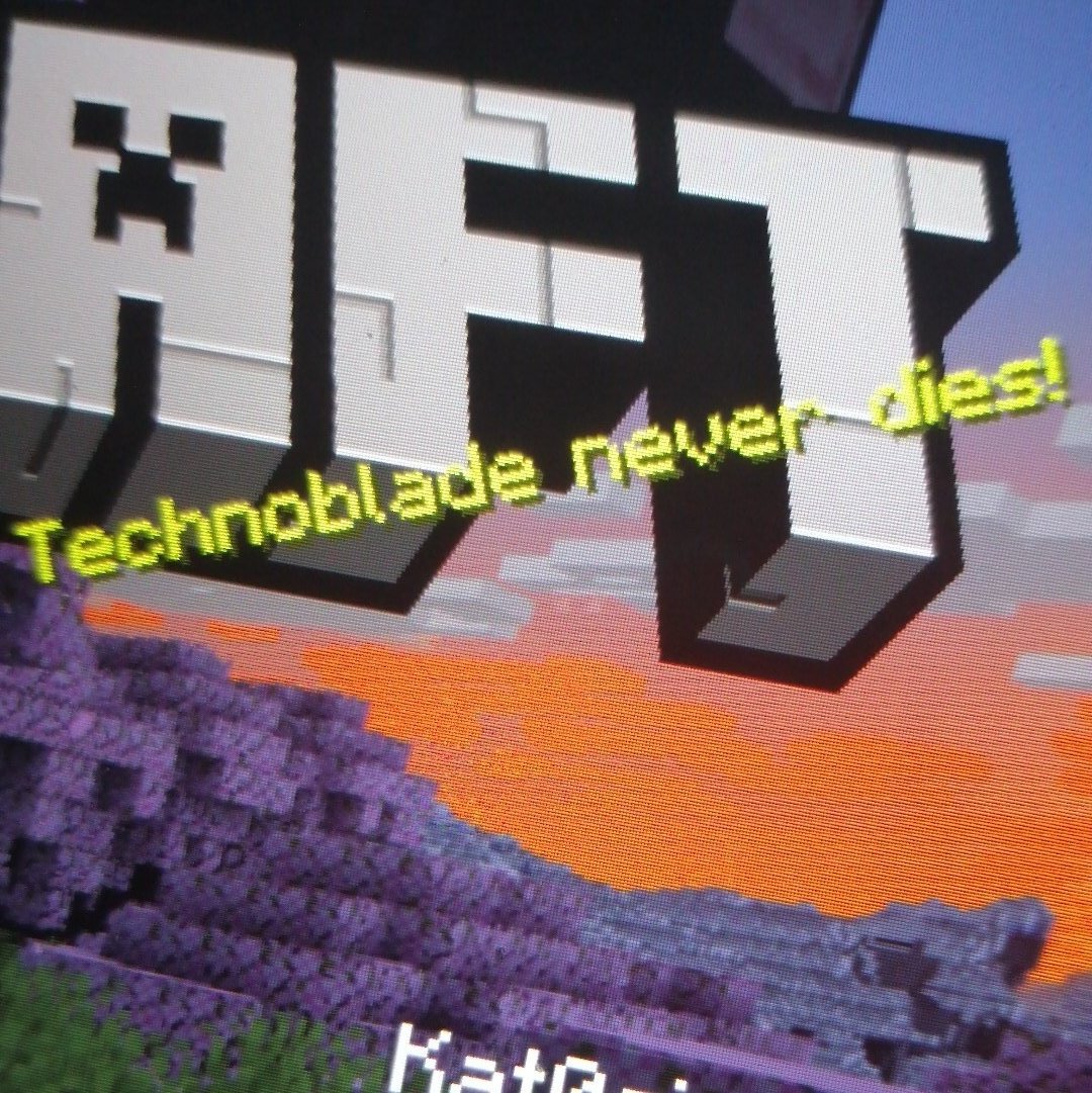 Minecraft your so right
#Technobladeneverdies