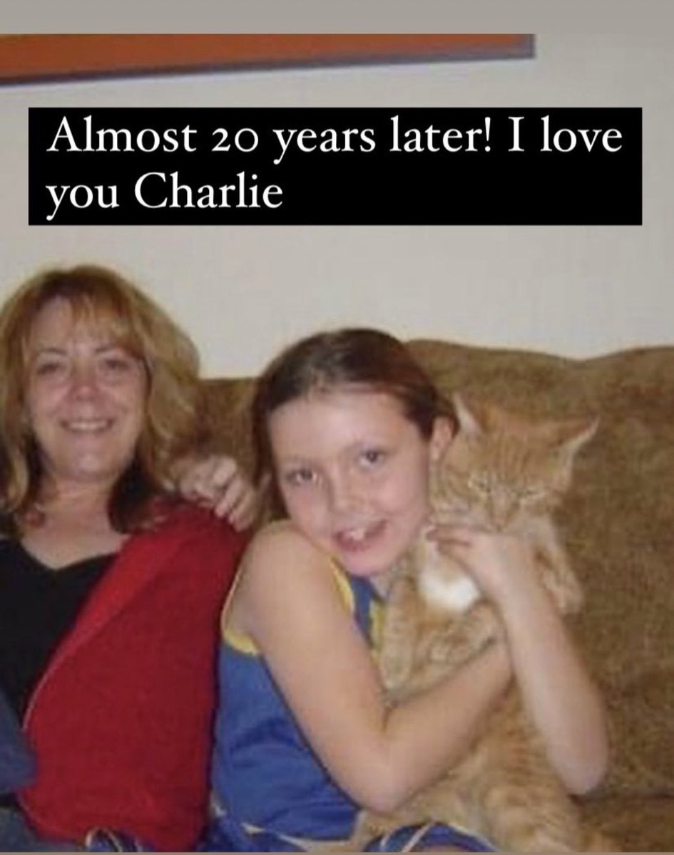 whitemanML's tweet photo. Charlie crossed the rainbow bridge today. He blessed us with almost 22 years. We will miss him so much. #charliecat #petloss #rainbowbridge https://t.co/6nkSbmhSdA