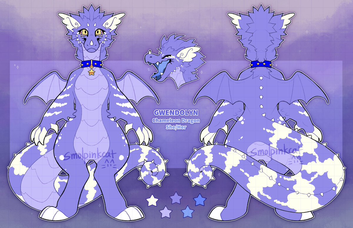 Symmetry Ref for @Pukamaroo ✨