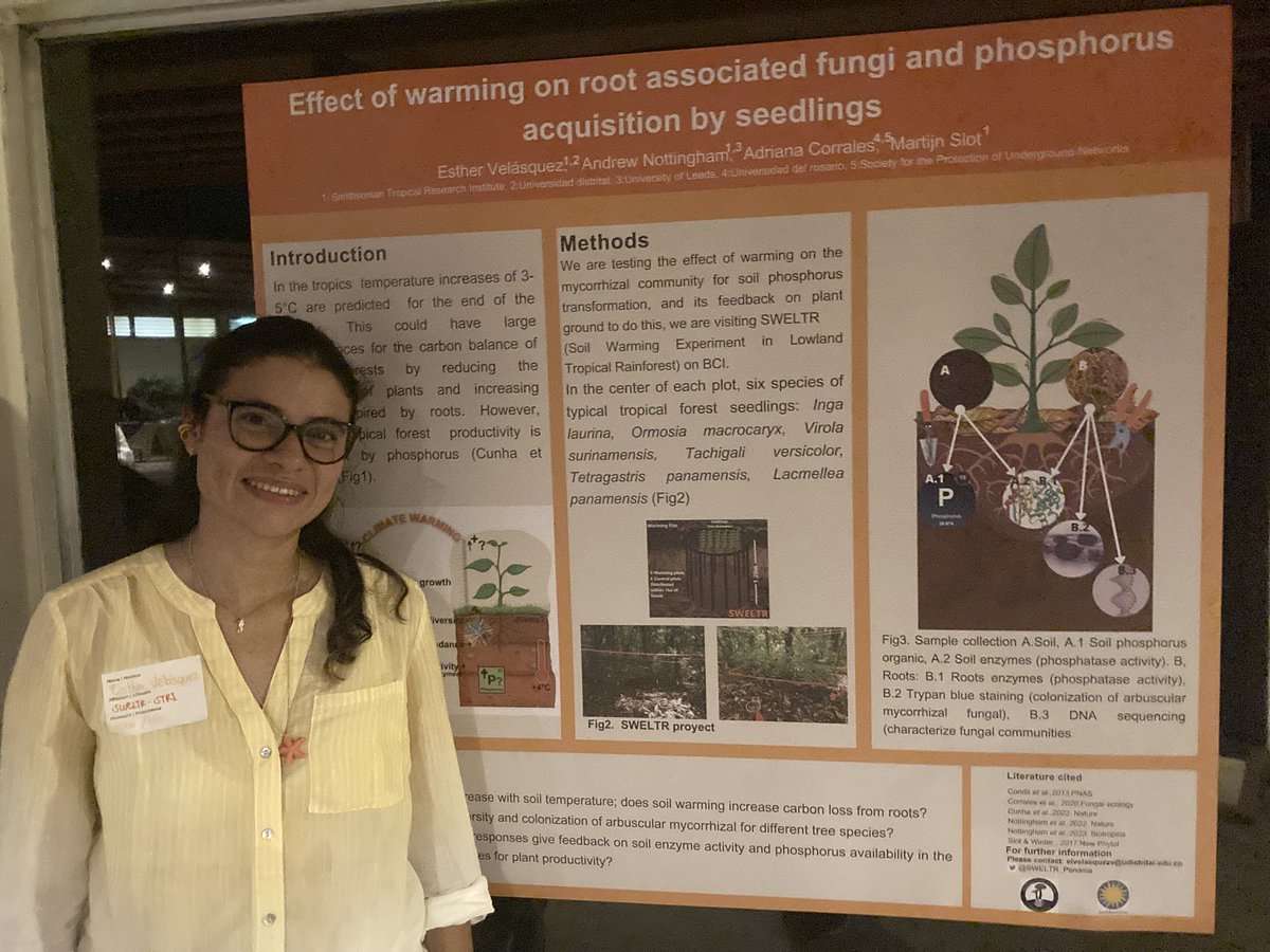 SWELTR (@sweltr_panama) on Twitter photo Congratulations STRI short-term fellow Esther Velasquez - exciting new research at SWELTR. Thanks to <a href="/AcademicStri/">STRIAcademicPrograms</a> for organising the symposium and to <a href="/CarolineBacque2/">Caroline Bacquet</a> for the inspiring keynote (↑ diversity and ↓ monoculture of scientific minds & perspectives!) Congratulations STRI short-term fellow Esther Velasquez - exciting new research at SWELTR. Thanks to <a href="/AcademicStri/">STRIAcademicPrograms</a> for organising the symposium and to <a href="/CarolineBacque2/">Caroline Bacquet</a> for the inspiring keynote (↑ diversity and ↓ monoculture of scientific minds & perspectives!)