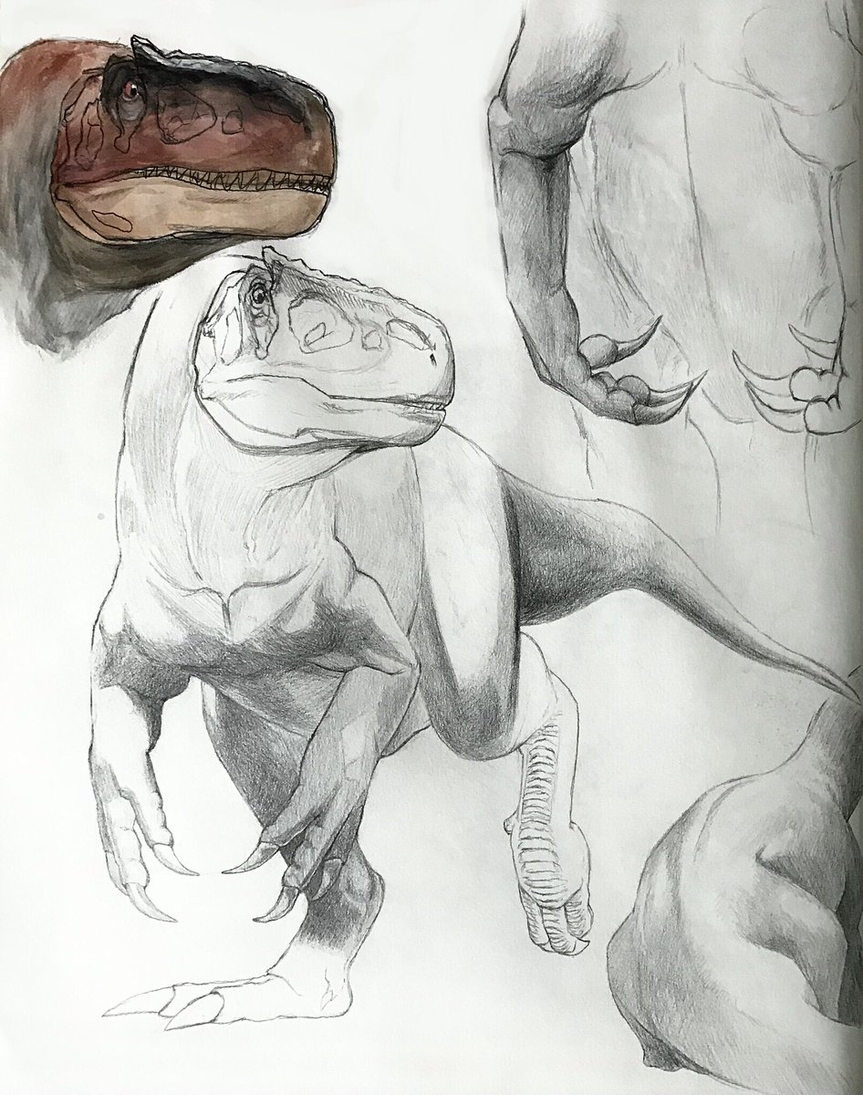 devrusaurus.bsky.social tweet media