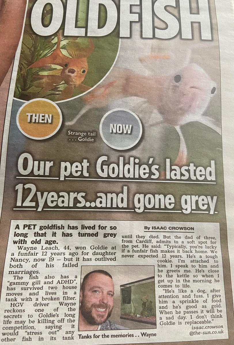 This is such a great article. Everything from the fish’s ADHD diagnosis to the open admission of animal neglect to the totally unnecessary mention of the guy’s 2 failed marriages had me hooked