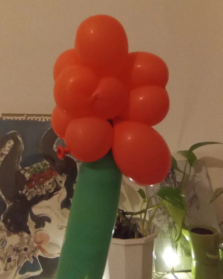 evakernel's tweet image. Esattamente un anno fa, una bimba ed i suoi genitori mi regalarono questo fiorellino di palloncini ❤️🥲