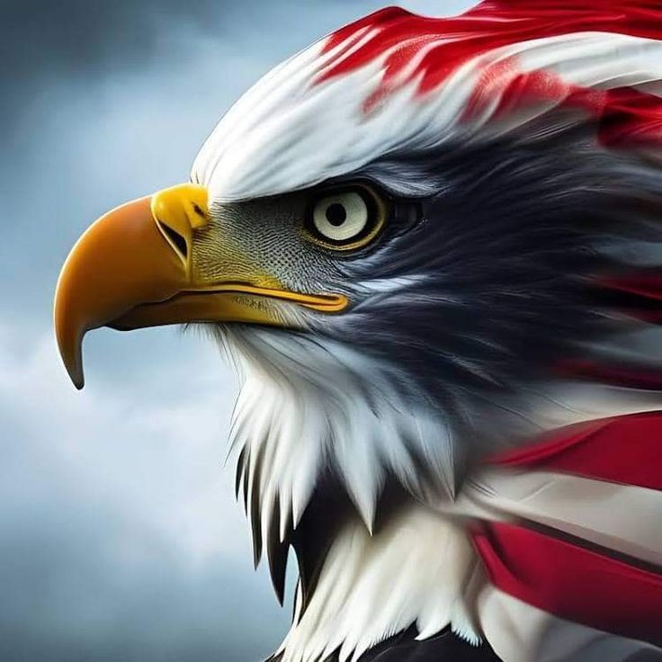 🇺🇸❤️JOIN THE PATRIOT FOLLOW TRAIN❤️🇺🇸 🇺🇸❤️GREAT THURSDAY VIBES!❤️🇺🇸 🇺🇸❤️COMMENT YOUR HANDLES ❤️🇺🇸 🇺🇸❤️CONNECT WITH FELLOW PATRIOTS❤️🇺🇸 🔥❤️LIKE & RETWEET FOR A FOLLOW BACK❤️🔥 🇺🇸❤️KEEP TRUMP IN YOUR PRAYERS❤️🇺🇸 🇺🇸🇺🇸