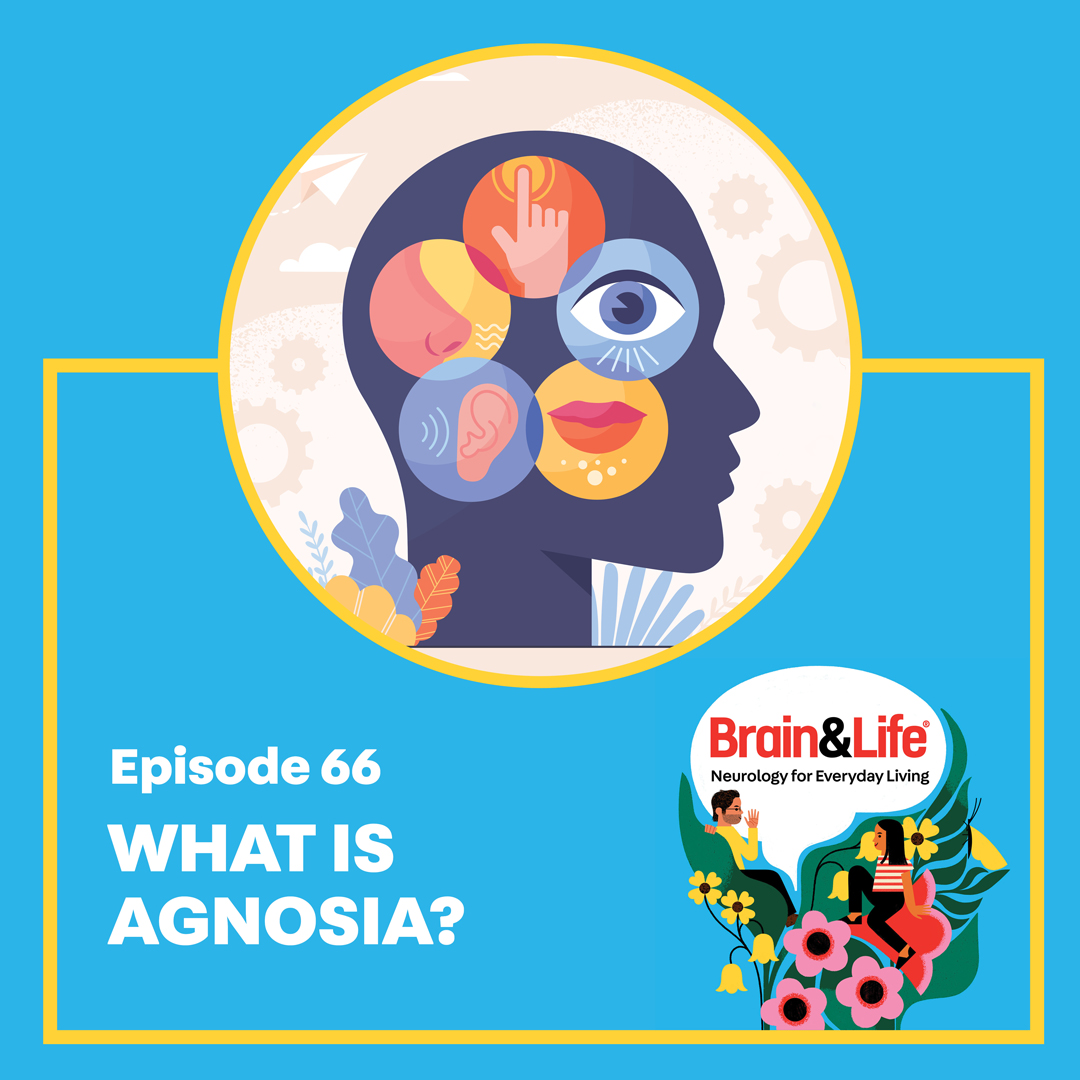 BrainandLifeMag's tweet photo. Dr. Sarah Song joins us as a guest co-host on today's podcast to talk with Dr. Roy Hamilton about #agnosia—a rare neurologic disorder characterized by an inability to recognize and identify objects or persons.  https://t.co/u4s5rMmqAn #BrainHealth

@stroke_doc
@NeuroDrCorrea https://t.co/rbAyvNlYNE