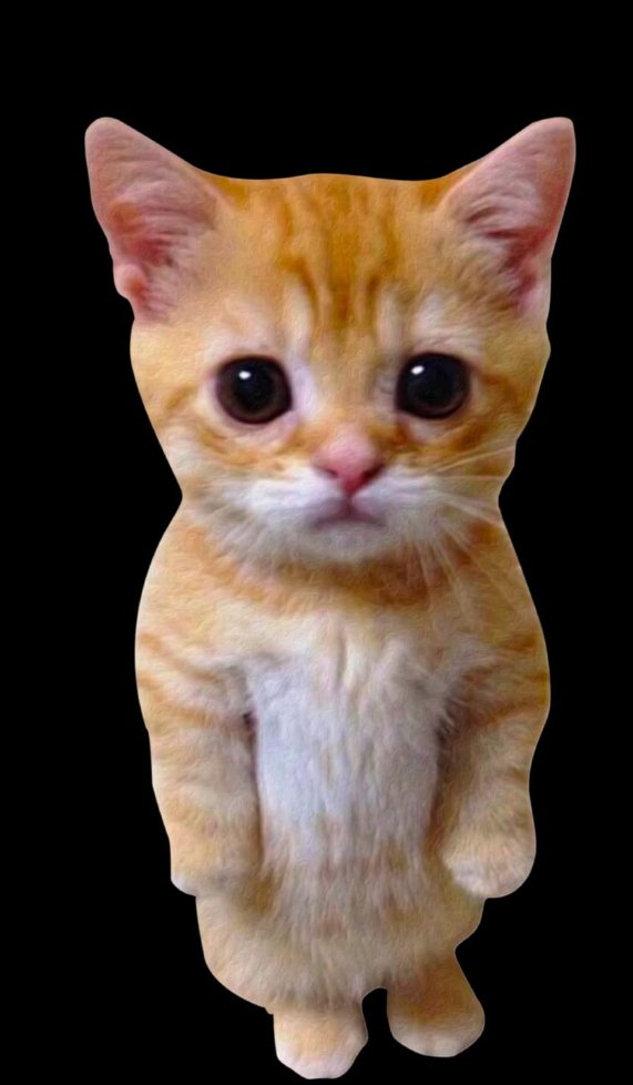 DaysofEthan's tweet photo. El chat https://t.co/d8k4mA7MF3