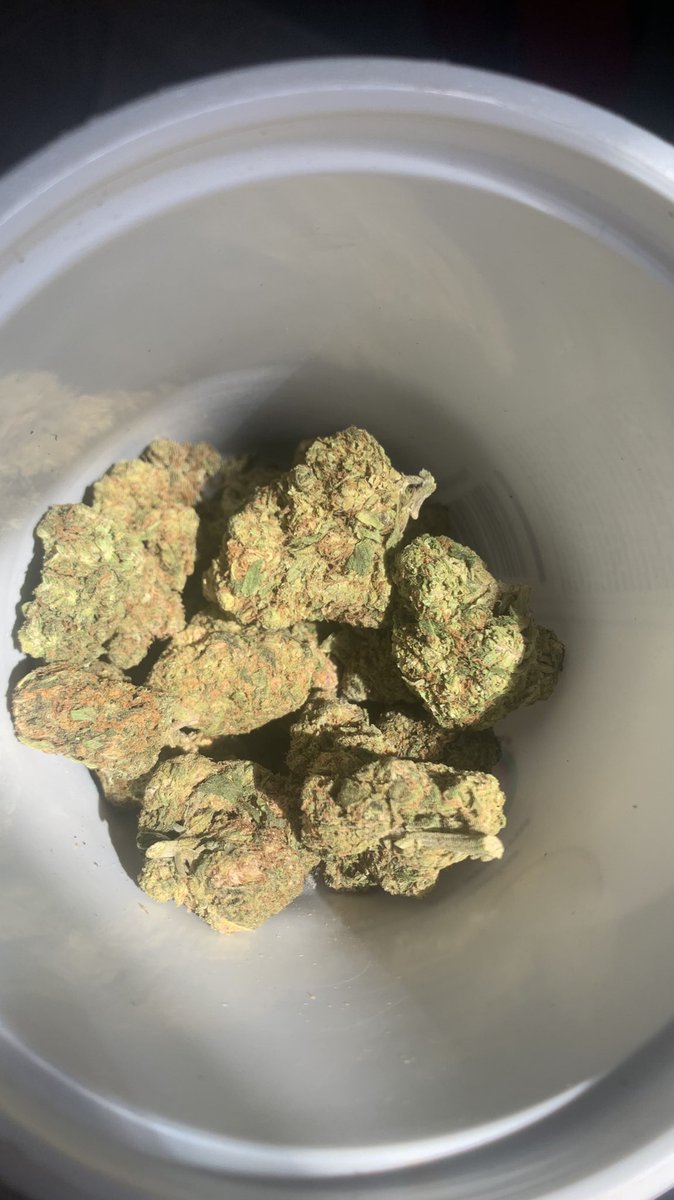 Tinmar4200's tweet photo. #cancun #cancun420 #weed #Weed420 https://t.co/StNsxGRuKH