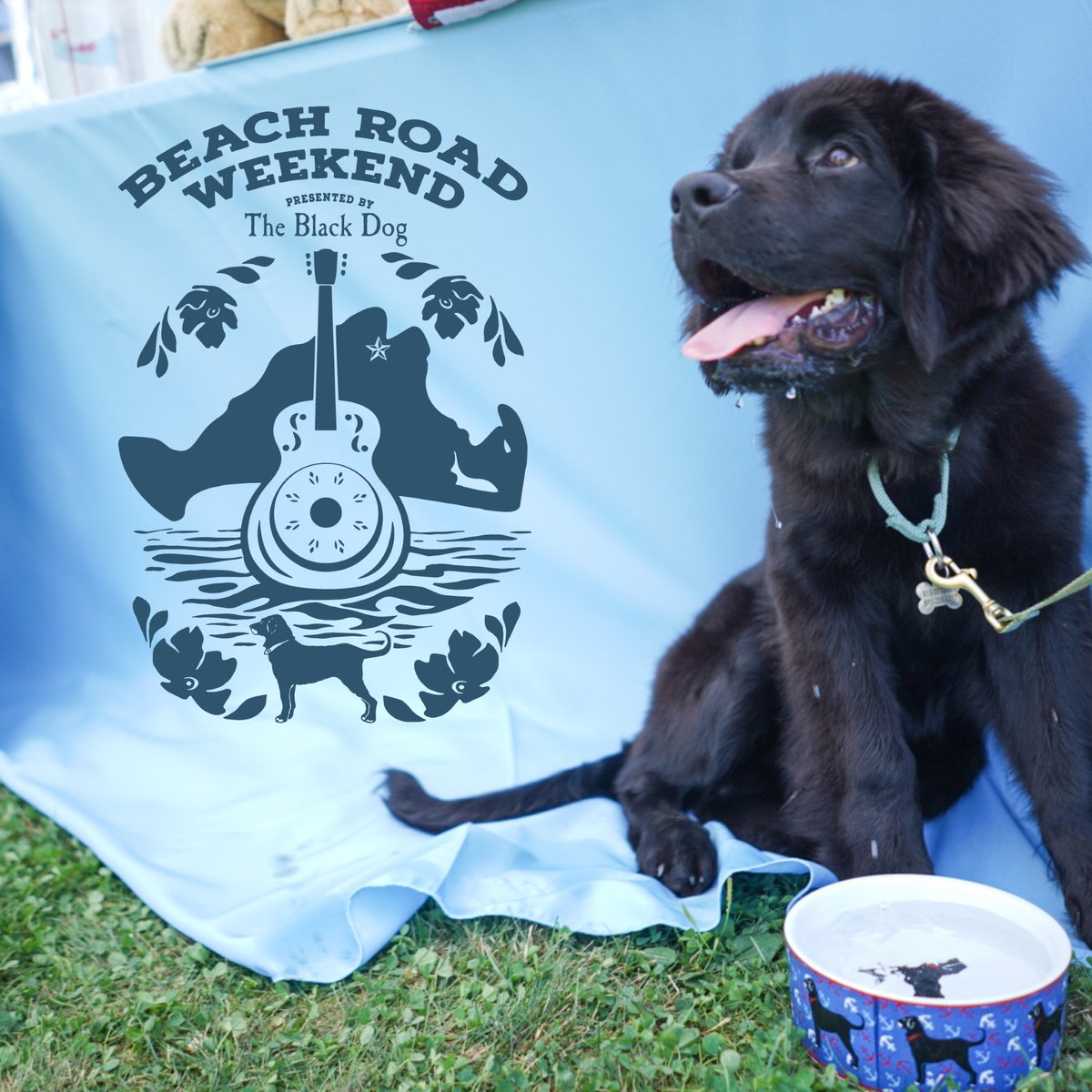 The dog days of summer are upon us 🌞 Come join us and <a href="/theblackdog71/">The Black Dog</a> on Martha's Vineyard for the Music Festival of the Summer! Mumford &amp; Sons, Leon Bridges, Bon Iver, and more! Can't wait to see you there