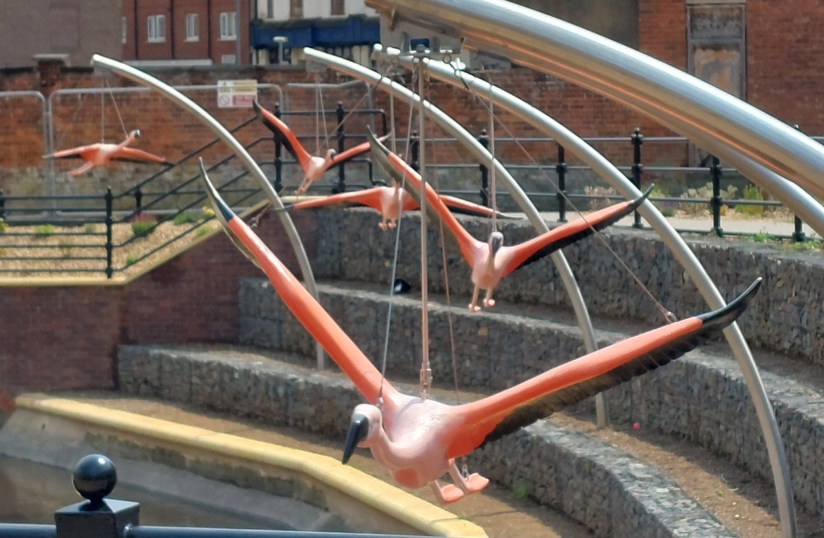 Luke O'Byrne tweet media