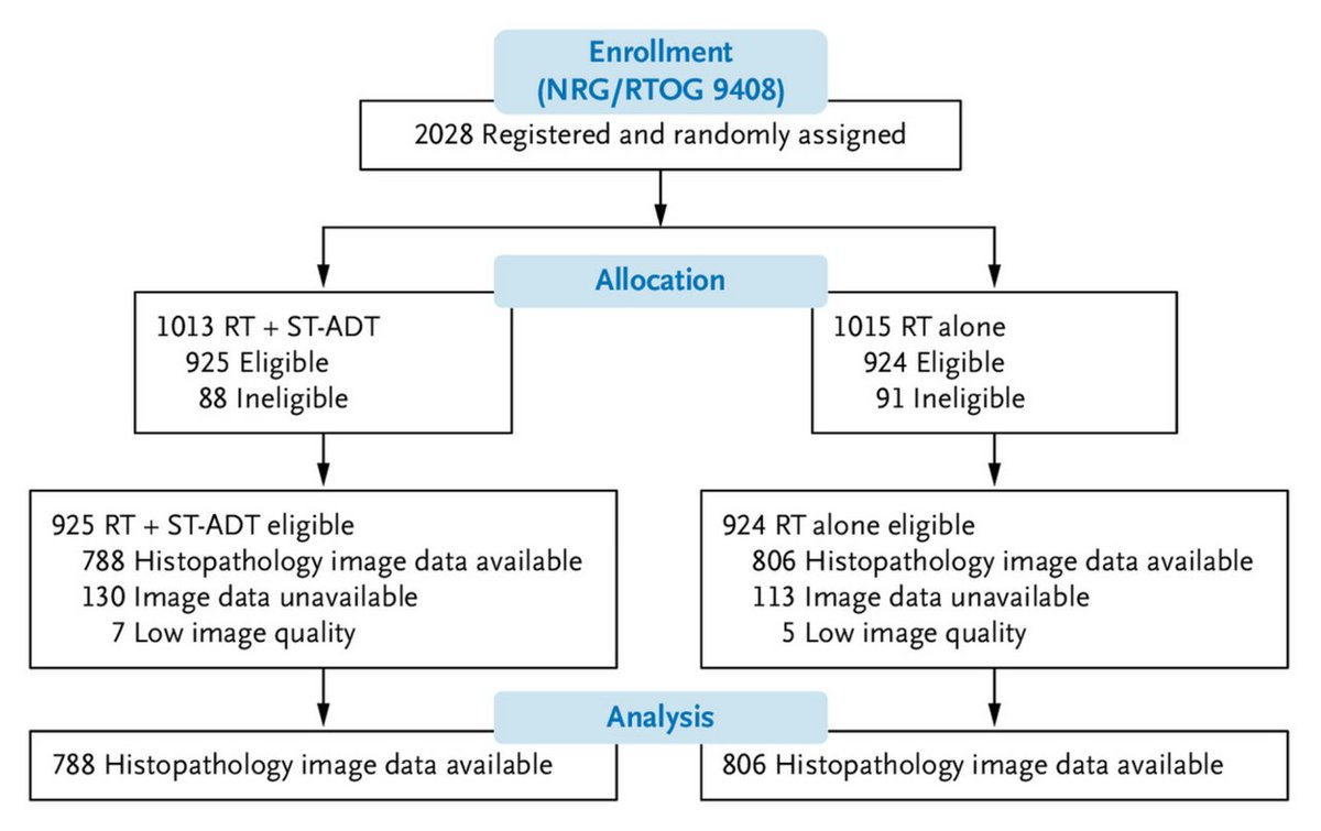 arteraAI's tweet photo. We are beyond excited to announce the publication of data in @NEJMEvidence, validating the first-ever predictive #AI biomarker of androgen deprivation therapy (ADT) benefit in #prostatecancer. 

Read the full announcement as reported by @AP: https://t.co/N7yCz6reil https://t.co/WJQ8rIui4H
