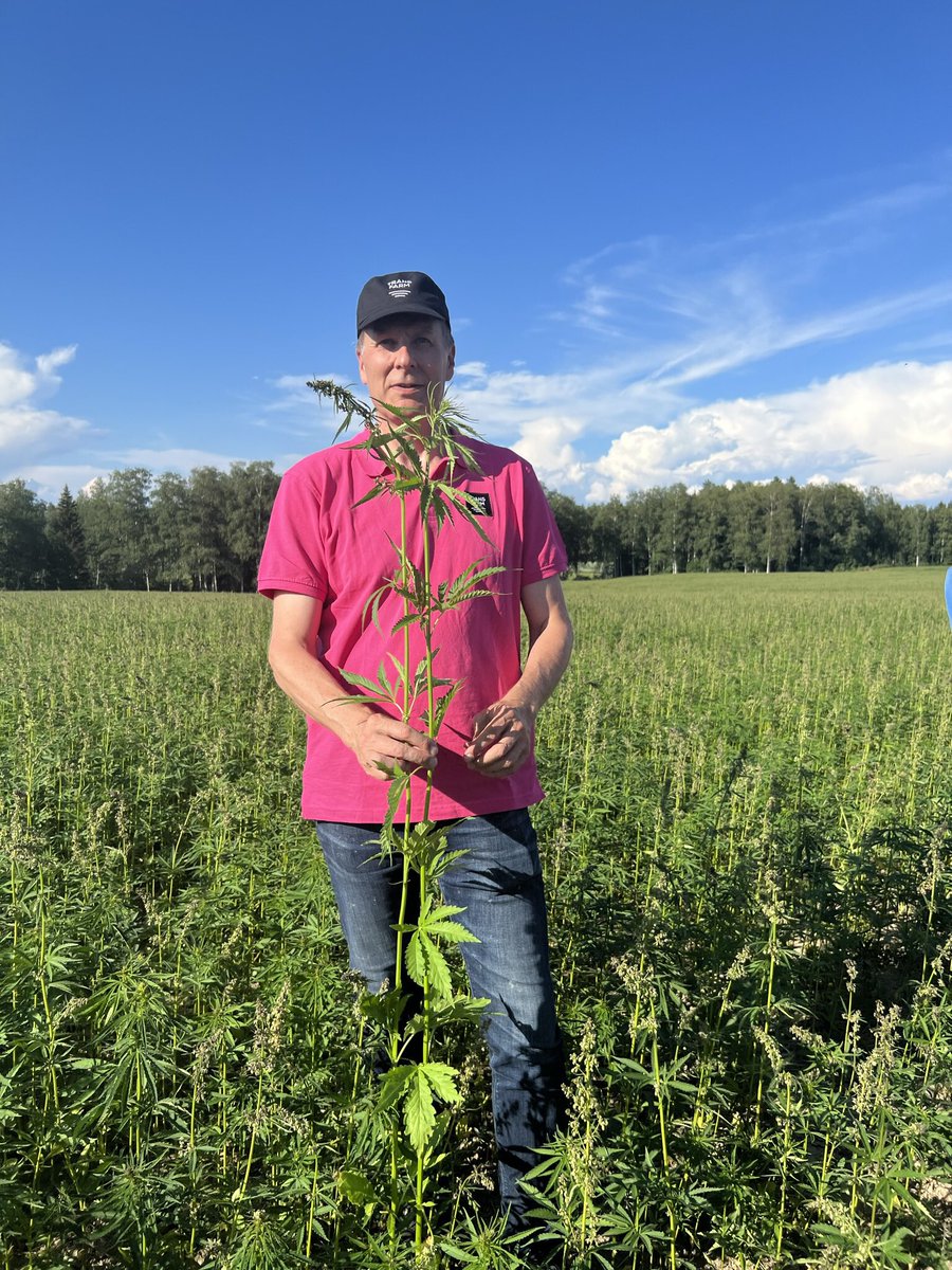 MinnaToimi's tweet photo. Trans Farmin erikoiskasvien kesäkiertueella. Tutustuttiin öljyhampun kasvatuksen nikseihin @j_leppala ja isännän kertomana. Mielenkiintoinen kasvi ja haasteellinen #kasvukausi
#öljyhamppu #maatalous #transfarm #minniksentyö https://t.co/GAp349UXXy