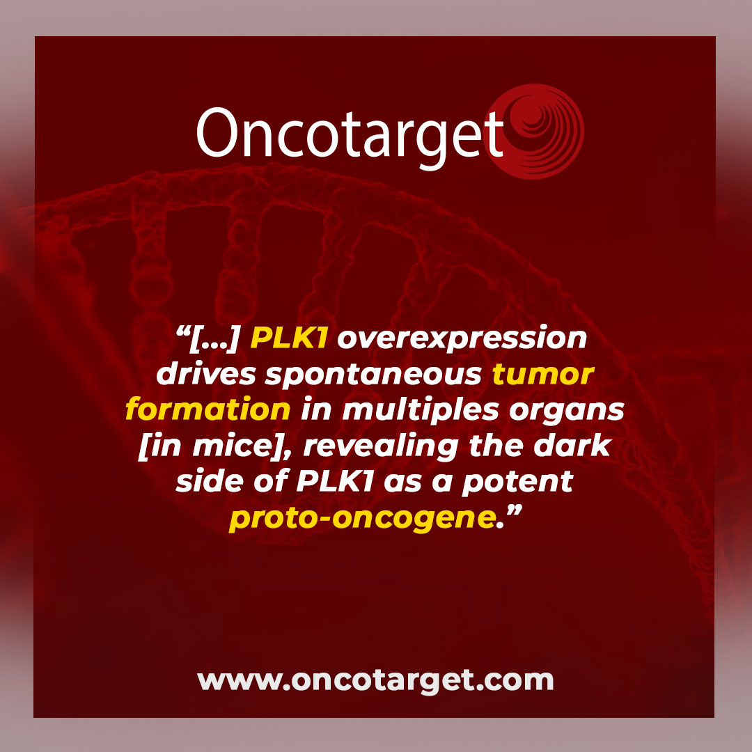 Oncotarget's tweet photo. #TrendingWithImpact: On June 27, 2023, researchers Lilia Gheghiani & Zheng Fu from @VCU published a new #editorial in #Oncotarget, entitled, “The dark side of PLK1: Implications for cancer and genomic instability.”
DOI: https://t.co/Zn48loRn1L
#GEMmodel #PLK1 #openaccess #medEd https://t.co/yhgscGLrCM