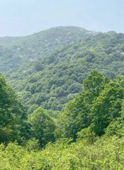 SkyMarieD1's tweet photo. Every time you feel the natural scenery, you can feel the unrestrained feeling of physical and mental relaxation, which makes the mind feel purified. https://t.co/fUgkEacAME