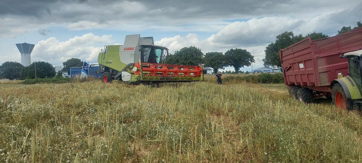 Bruno calle tweet media