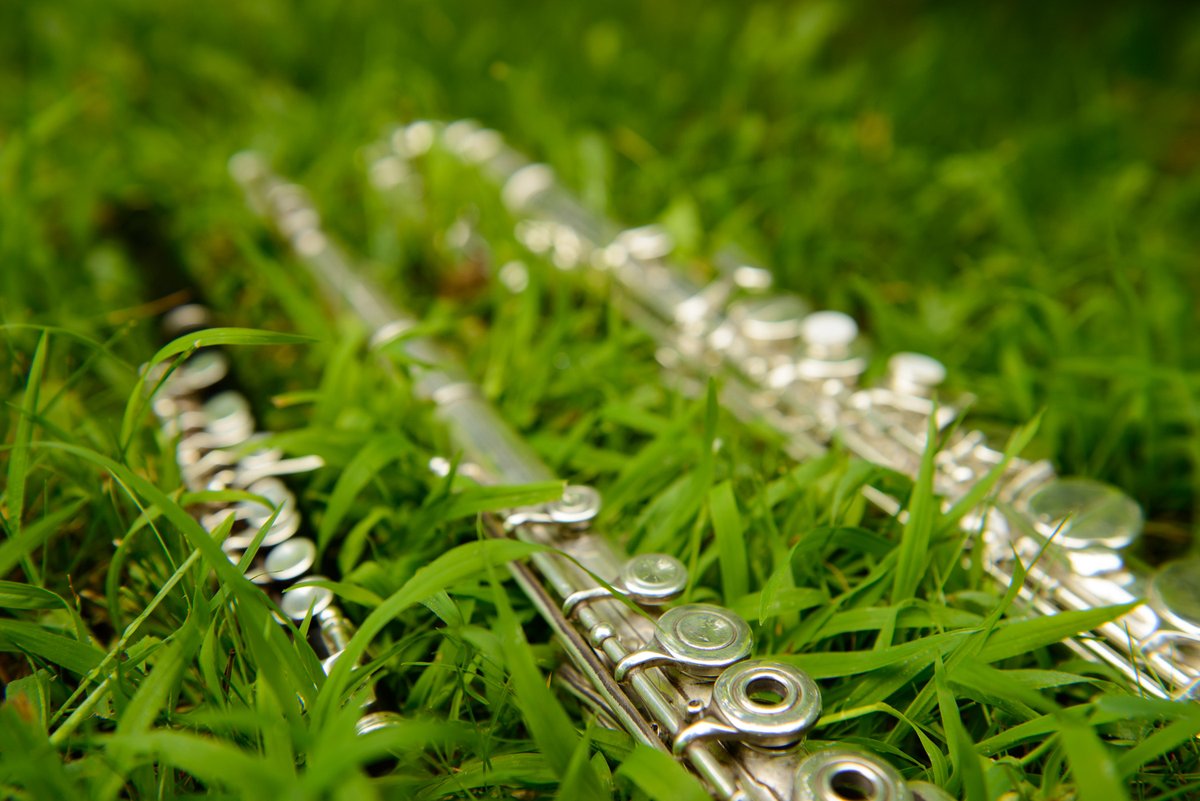 Select auditions are happening this summer! Flute, piccolo &amp; chorale singers all have the opportunity to audition with Rochester Symphony, a professional music organization since 1919. Our 2023/24 season is set to be exciting and transformative. Join us -- bit.ly/3PvpVjA