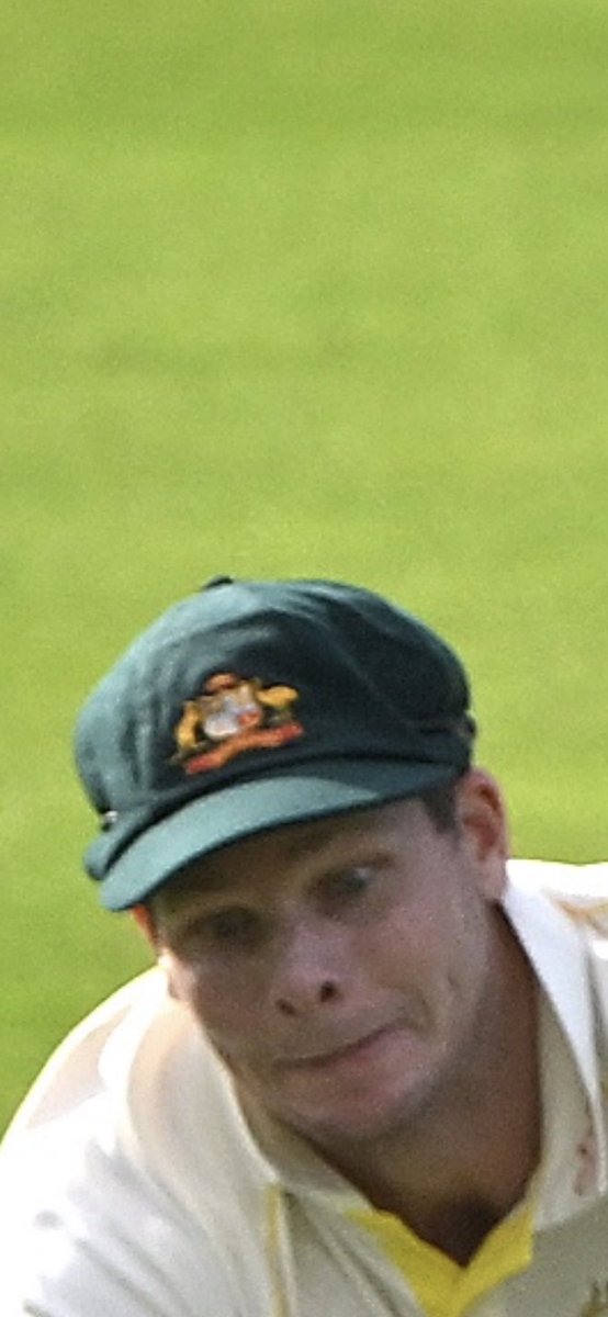 Josh sparey tweet media