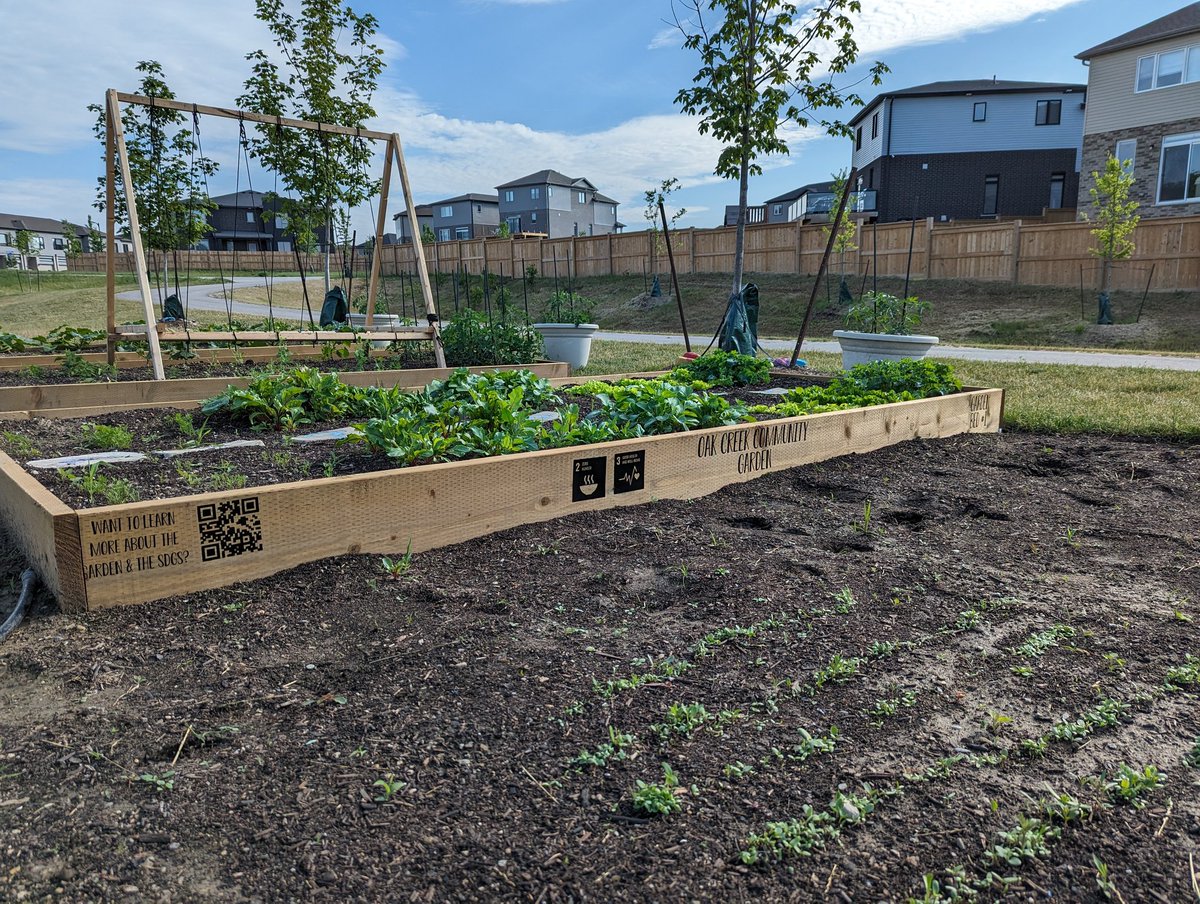 Katrina Brenner tweet media