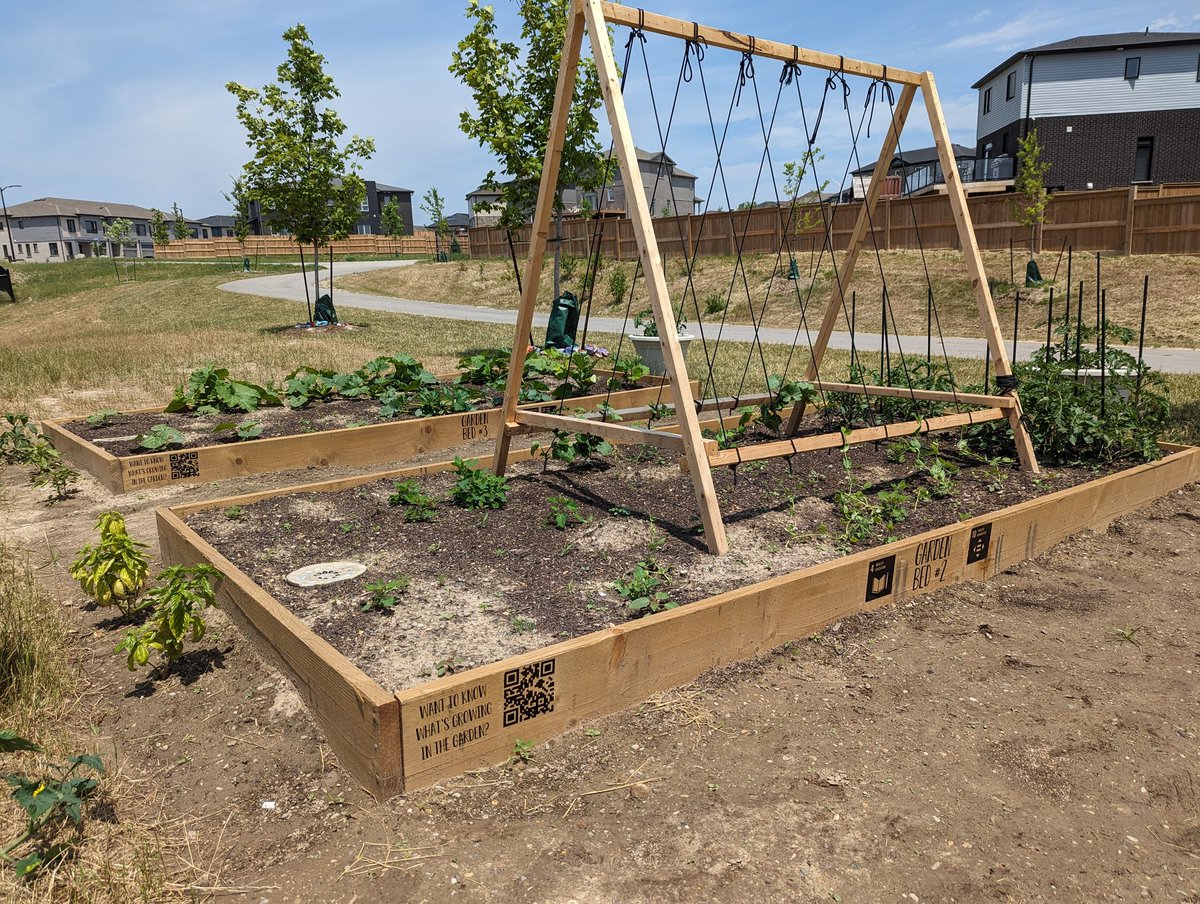 Katrina Brenner tweet media