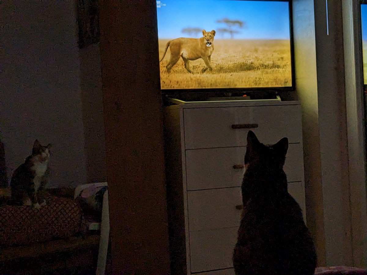 lavaligiainviaggio tweet media