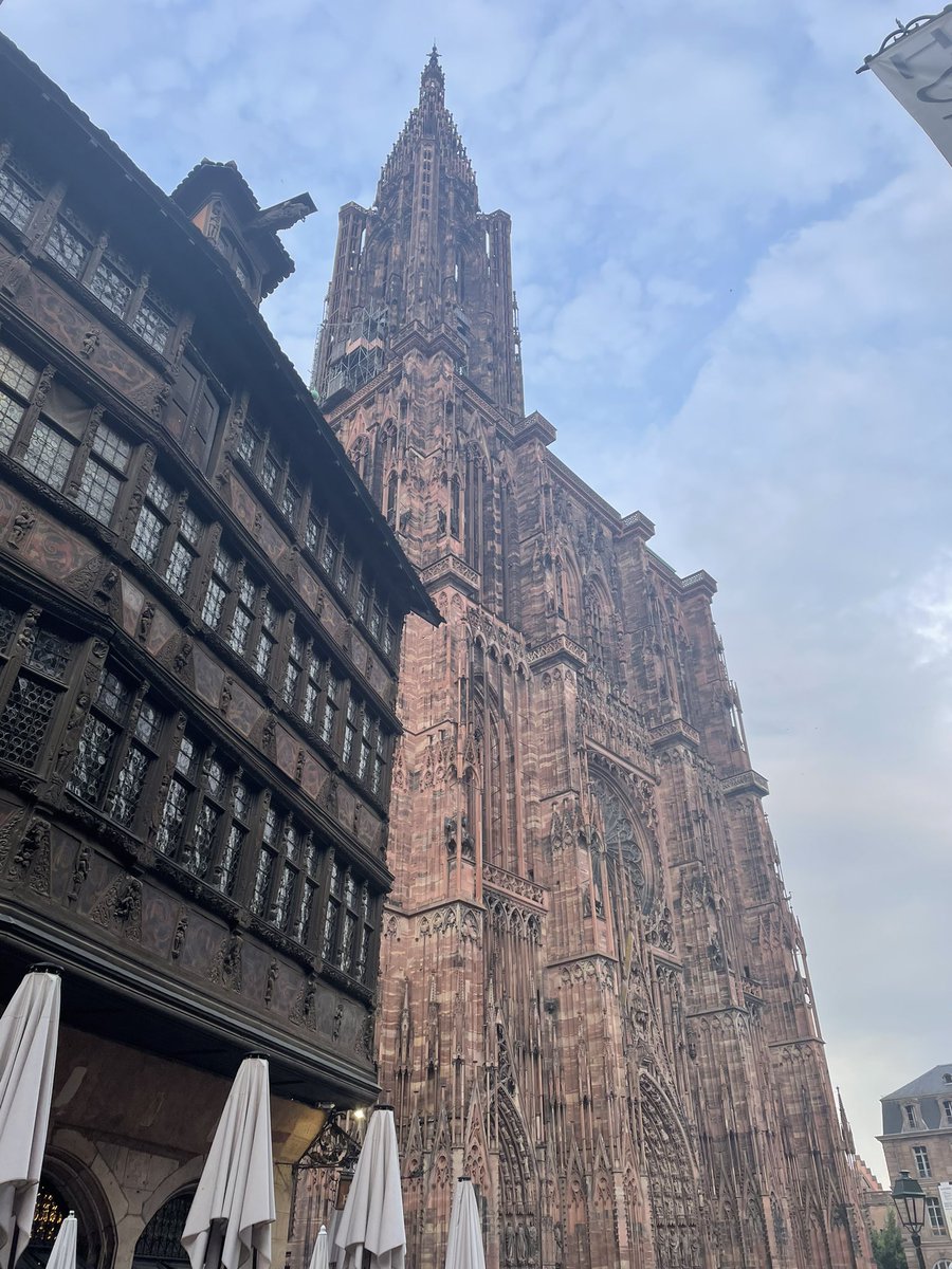 cyrine's tweet image. Gala dinner of the @AcEntInnov conference in Strasbourg 🥂
Thank you Dimo Dimov for the fascinating keynote!
Perfect organization by my colleague and friend @HamelinAnaisIEP co-editor-in-chief of the @revue_ENT /Review of Entrepreneurship 👏🏼
#AEI2023 #Entrepreneurship #innovation