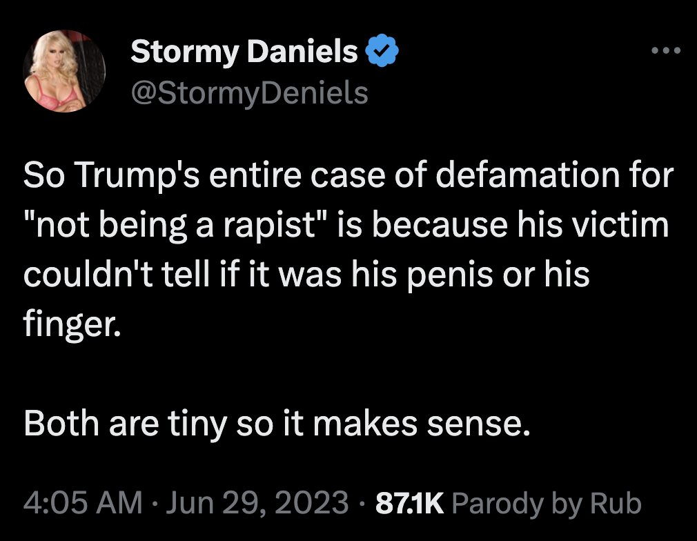 Stormy Daniels slams Trump the rapist.