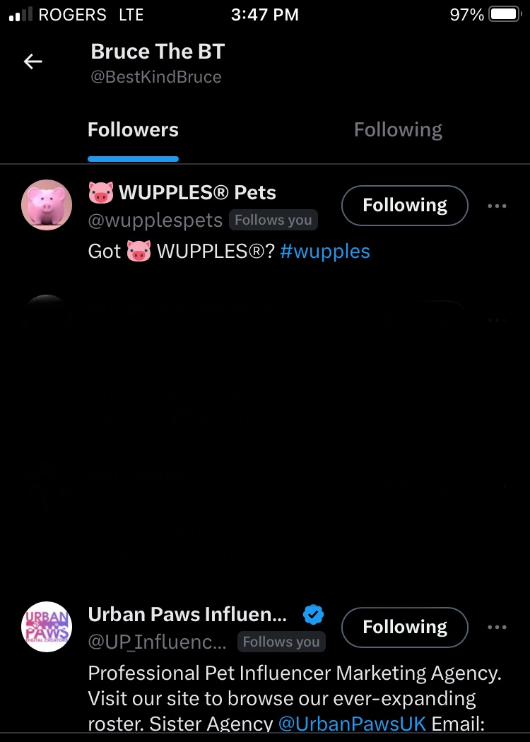 I guess that <a href="/wupplespets/">🐷 WUPPLES® 🐾Pawtners (visit wupples.com)</a> &amp; @UP_Influencers following me is a good thing, right?