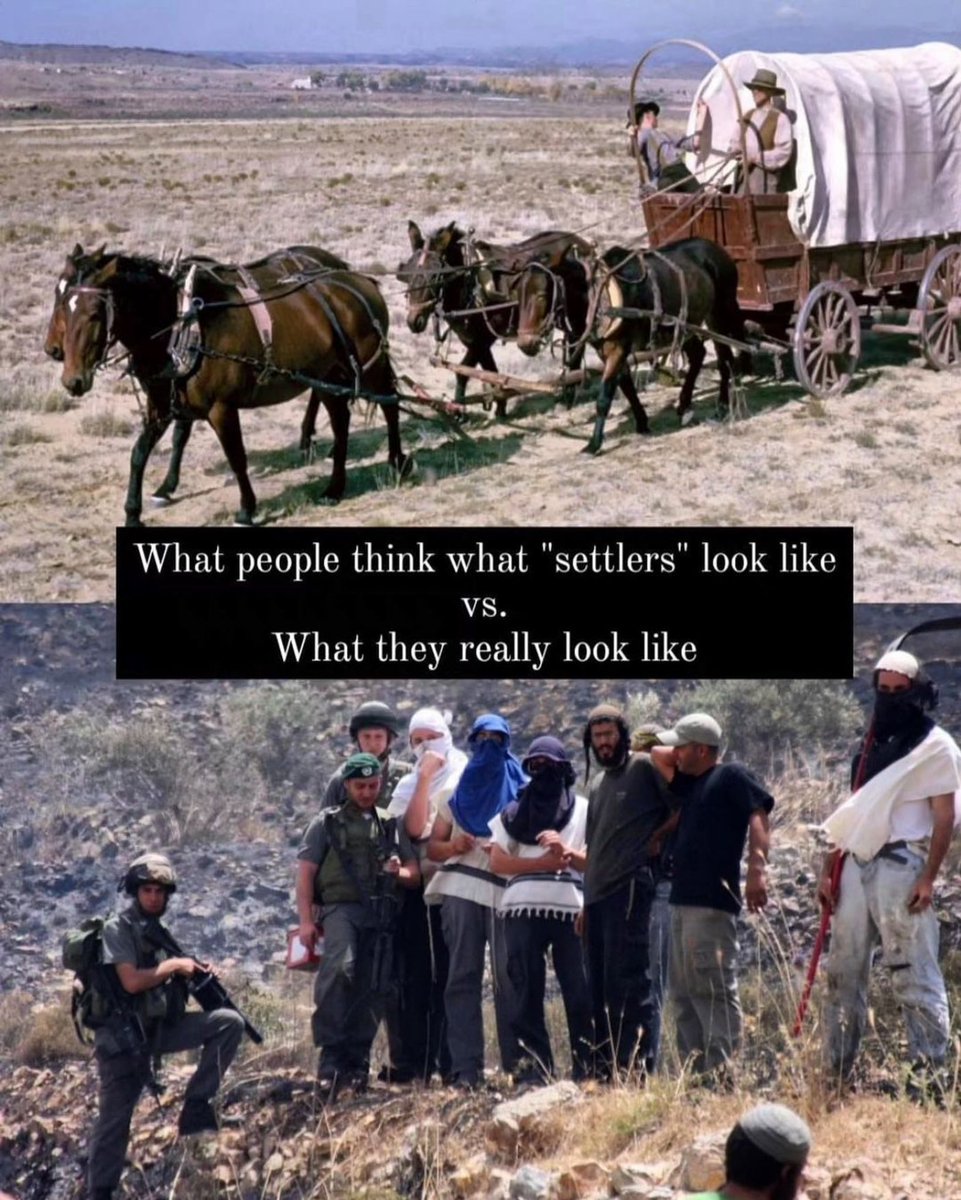 #Zionist ‘jewish’ colonial-‘settlers’ (‘#israelis’) in occupied #Palestine in image below depicting the reality of what ‘settlers’ really look like. #IsraeliTerrorism #FreePalestine 🇵🇸 #EndIsraeliApartheid #IsraeliCrimes #EndIsraeliSettlerColonialism #Nakba #BDS…