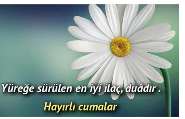 @TURKOGLU_1299 @Sevda__38 @Nilfer36445269 @Lavanta_12 @__1_DeRuN_i_ASK @ah_de_ @mai__3460 @Glcnrbtl1 @MhmdAlparslan @Murat58ss_ @AliveaReyh1958 @Cezeri33 @efa__27 @aysedogan1955 @zeynocan0 @vedat_oflaz_ @NArslan2023 @__Baha___1245 Hayr'lı Cuma'lar cümleten

Teşekkür ediyorum abim ☕️🌼