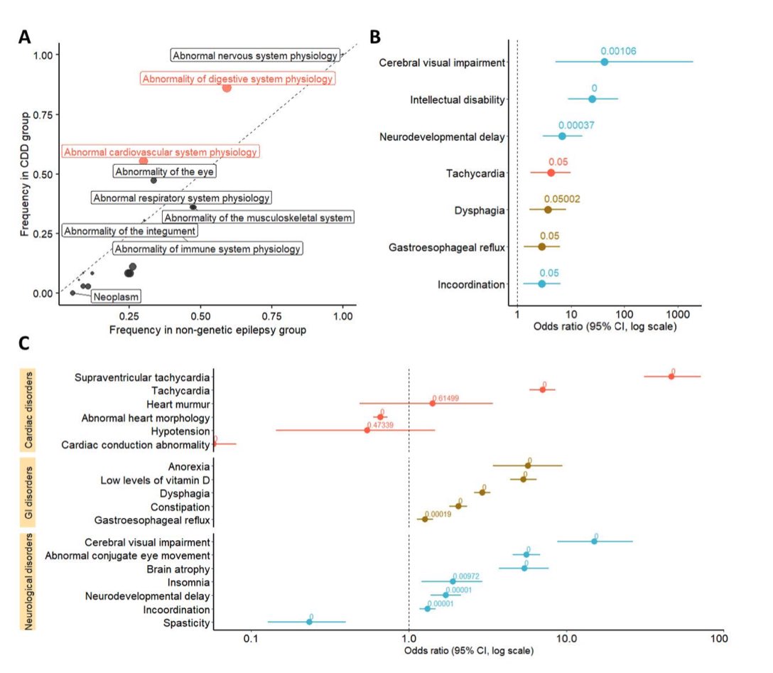 1/2 New pre-print research from the team on #CDKL5 deficiency disorder (#CDD) & potential cardiovascular involvement! Using natural language processing, our team around @AlinaIvaniuk @team identified tachycardia as a significant association with CDD (OR 4.2). Interpretation is…