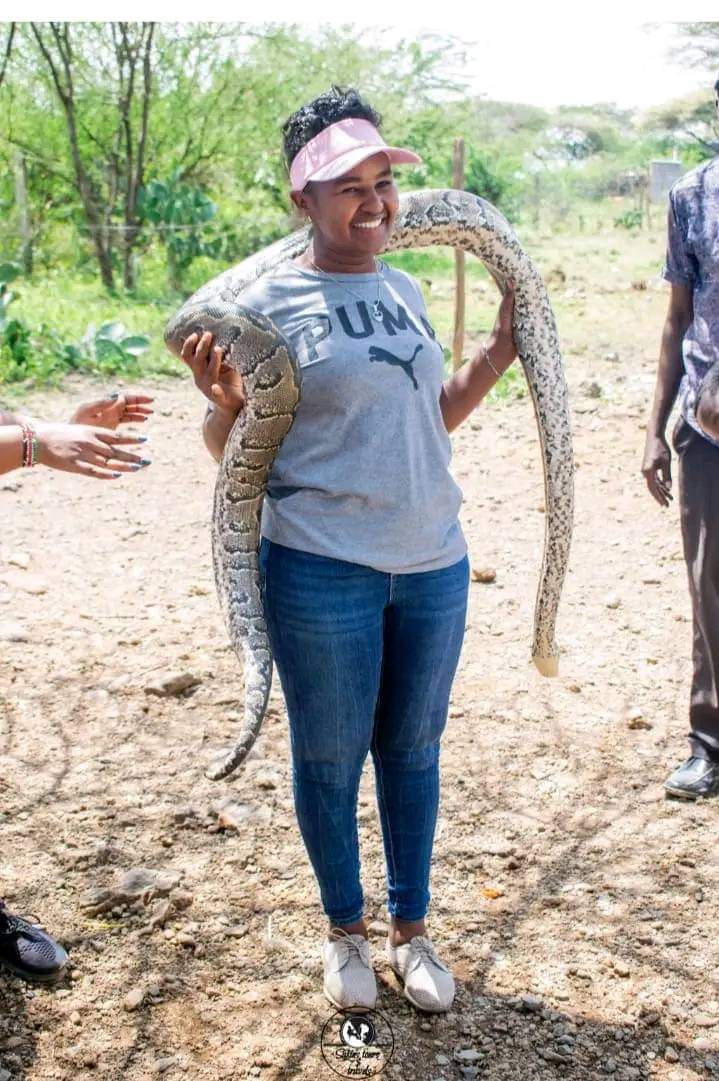 kalu_lepariyo's tweet photo. Local tourist holding the African Rock Python in Lake Baringo.

Via @Baringonline_ 

@magicalkenya @Pennytrvlwriter https://t.co/CHoJxUnzDb