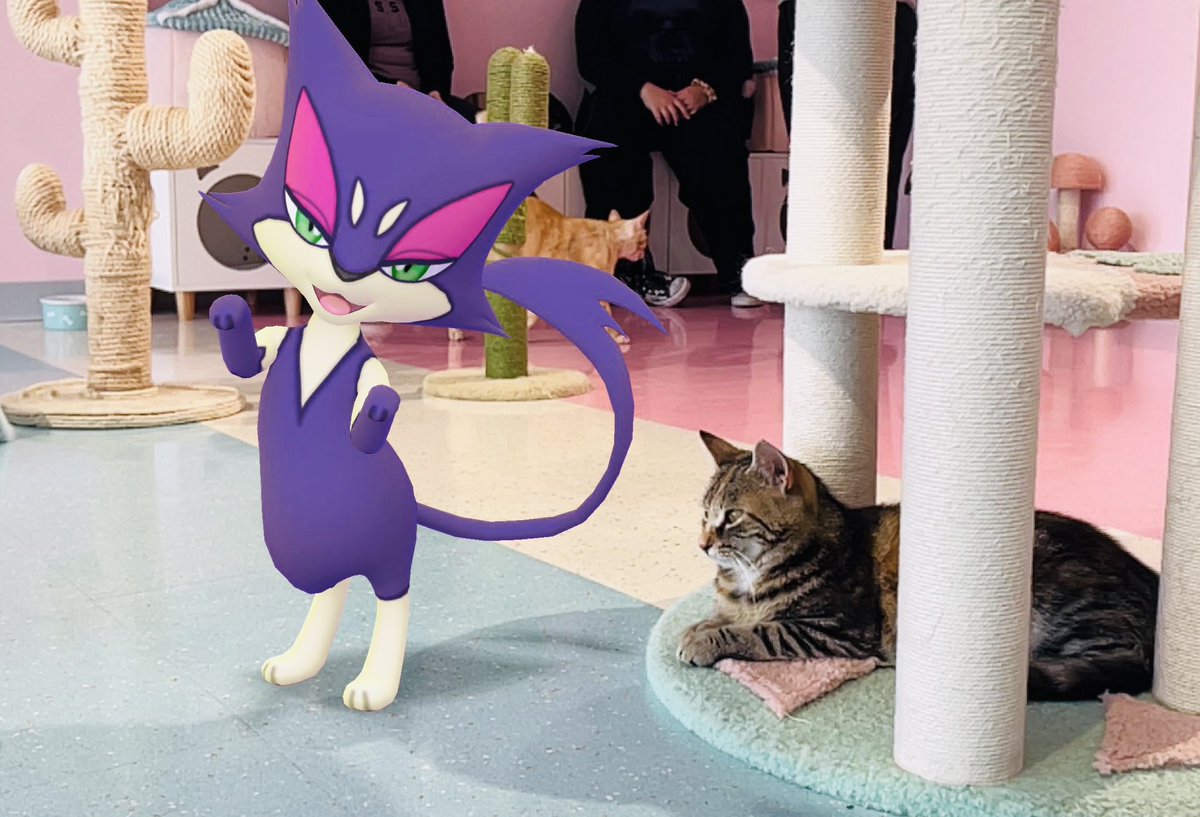 AjentVee's tweet image. Visited a cat cafe here in Colombus! It was my first time, and it was very relaxing! ❤️🐱 Purrloin loved it too! #PokemonGOAR #NAIC