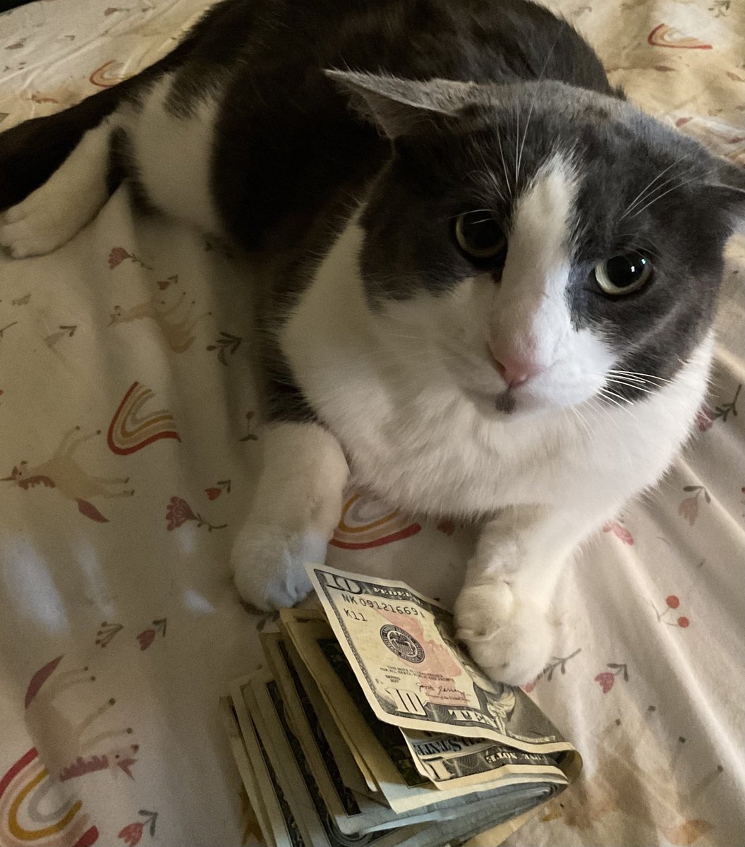 Weedlord_Boner's tweet photo. “Ignore females, acquire currency .” 
-Soggy Cat 2023 https://t.co/pqCFD91Yfe