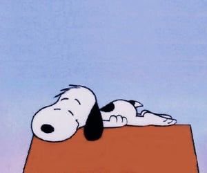 clairosnoopy's tweet photo. 😴

@clairo https://t.co/iizasqPUAJ