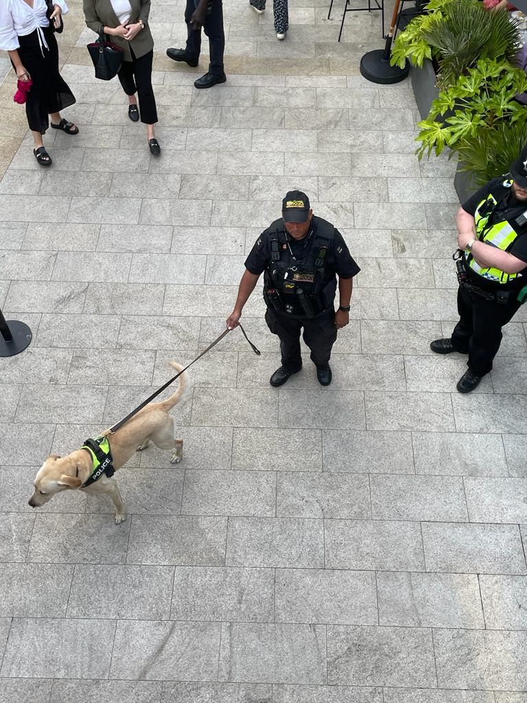 Tonight saw @CityHorses @CityPoliceDogs and #ProjectServator officers working with @BTPLiverpoolSt @BTPDogs in a joint operation around #Broadgate as part of #OpRamos targeting drug use/supply. A number of searches carried out and arrests made CP360