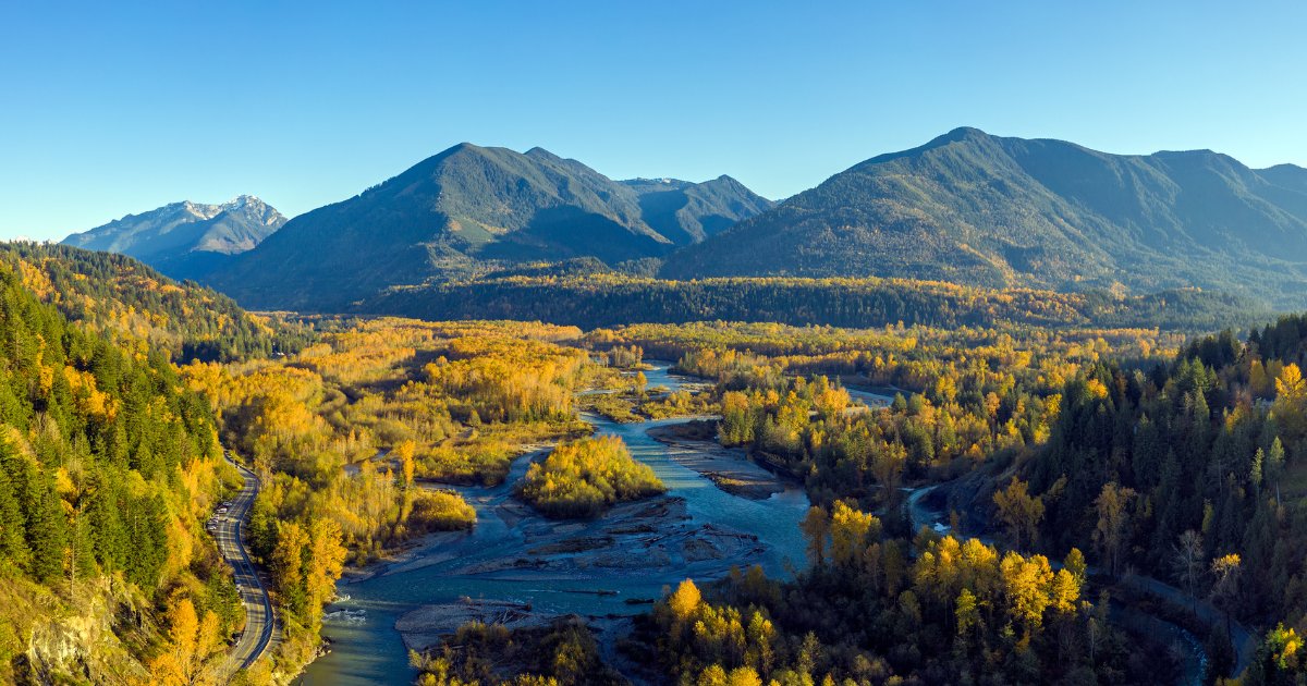 WatershedWatch_'s tweet photo. Action alert! An unprecedented amount of gravel will be mined from the Vedder River this summer. The problem? This year is an odd-numbered year, &amp; pink salmon are expected to return in huge numbers to spawn in the Vedder. Removing their spawning gravel is a big no-no. (1/2) https://t.co/paneZqtwjK