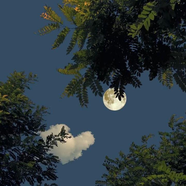 elqumh's tweet photo. وتشاءُ أنتَ مِن الأمَاني نجمَةً
وَيَشاءُ ربكَ أن يُناوِلك القَمر https://t.co/u0W9Hu75kQ