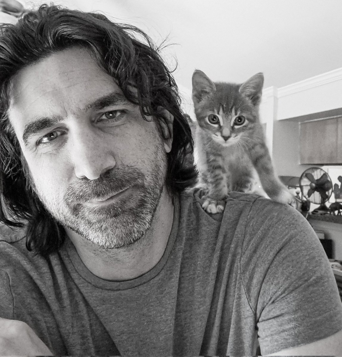 My shoulder editor is back.