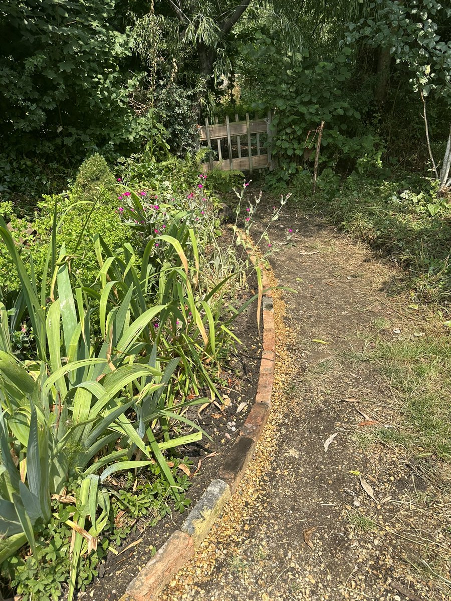 Lovely morning talking to @LondonInBloomUK sharing ideas. After wet start, sun emerged and so did the Day Lilies! New reclaimed brick pathways looking good. Open Fridays 10.30am-3pm.